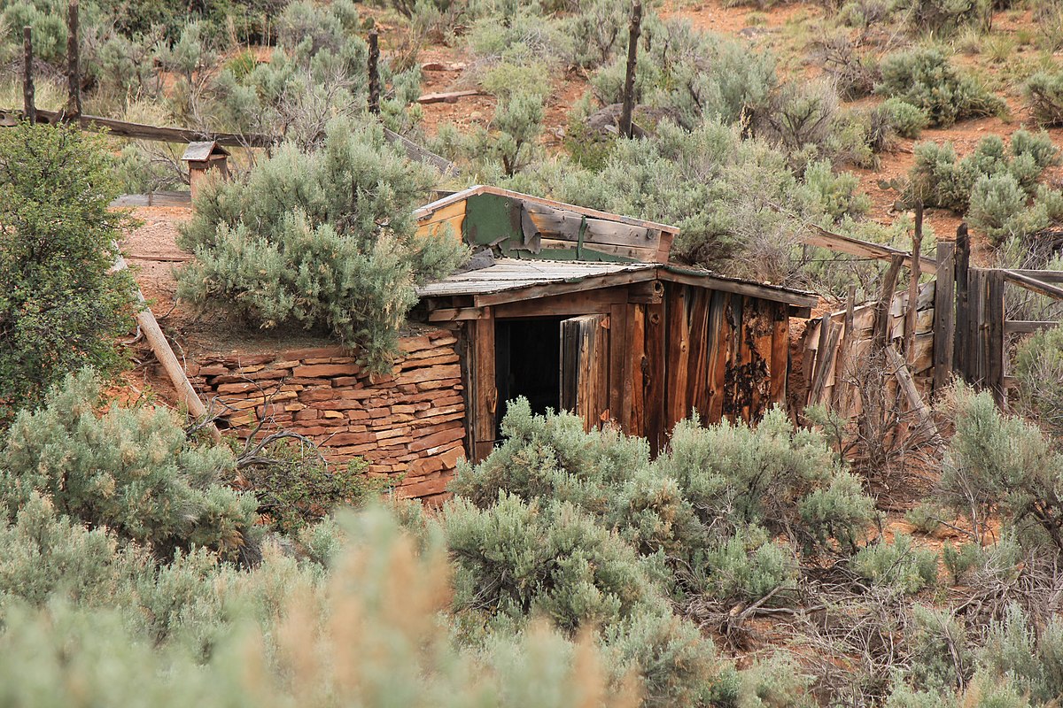 Hanks Dugout