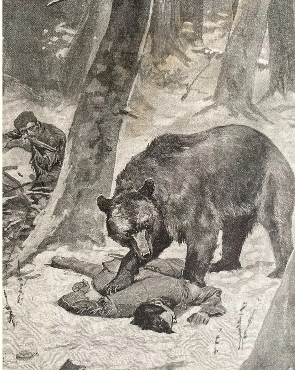 Bear Attack