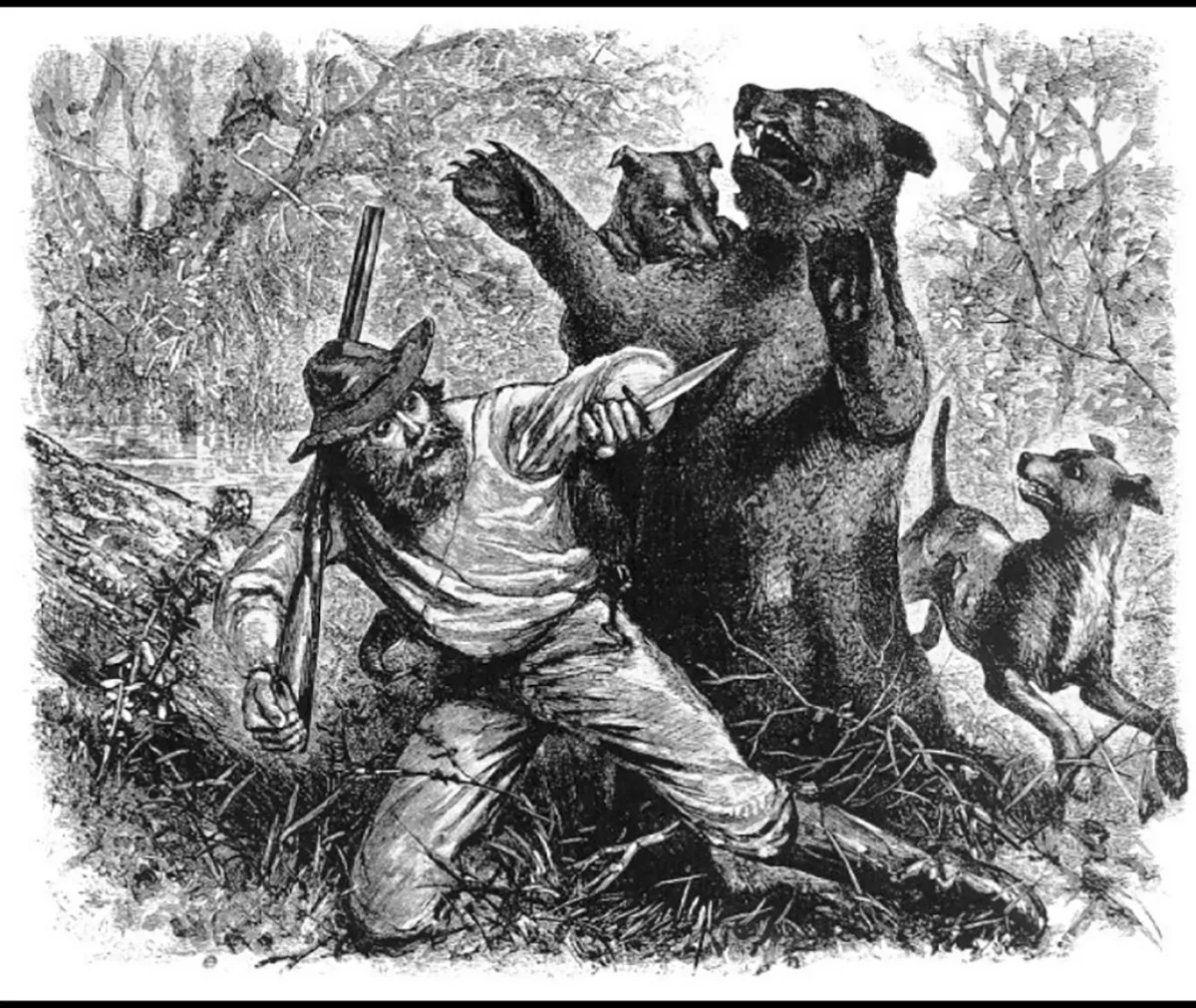 Wild Tales from Early Madison